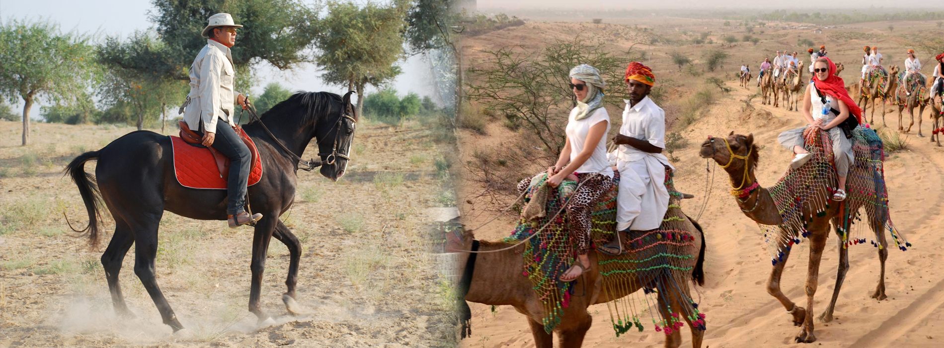 Horse and Camel Safaris